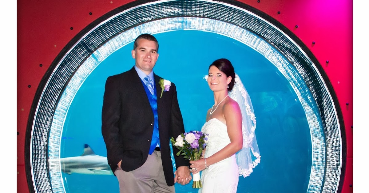 Florida tampa aquarium Discover the Tampa Bay area's best attractions while saving 51 percent off combined admission. Each Tampa Bay CityPASS booklet includes tickets to Busch Gardens Tampa, The Florida Aquarium, Clearwater Marine Aquarium, ZooTampa at Lowry Park, and more.